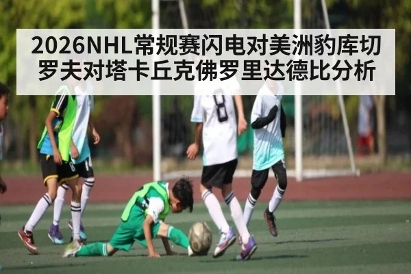 2026NHL常规赛闪电对美洲豹库切罗夫对塔卡丘克佛罗里达德比分析